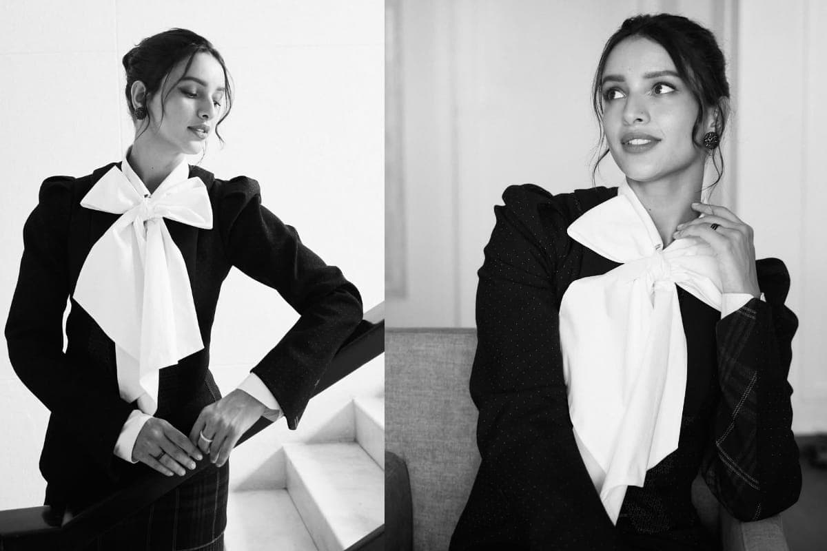 Tripti Dimri Upcoming Movies