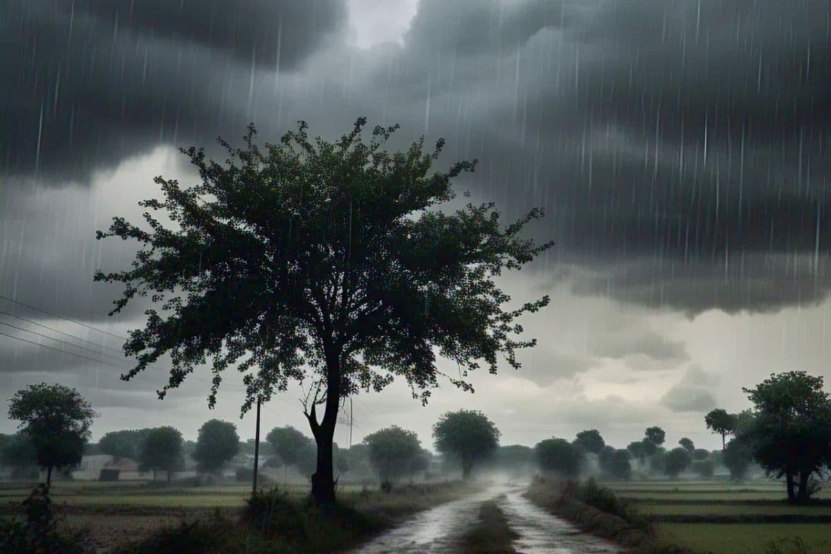 Bihar Rain Alert: बिहार के 32 जिलों में इस दिन शुरू होने वाला है आंधी-पानी का दौर, IMD ने जारी किया येलो अलर्ट Bihar Rain Alert: बिहार के 32 जिलों में इस दिन शुरू होने वाला है आंधी-पानी का दौर, IMD ने जारी किया येलो अलर्ट