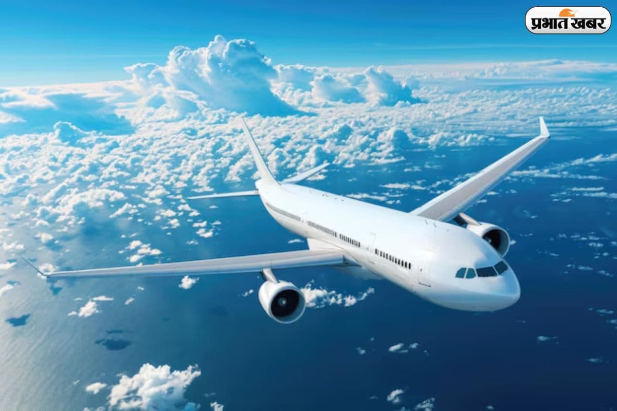 Domestic Airfare Fare Cap