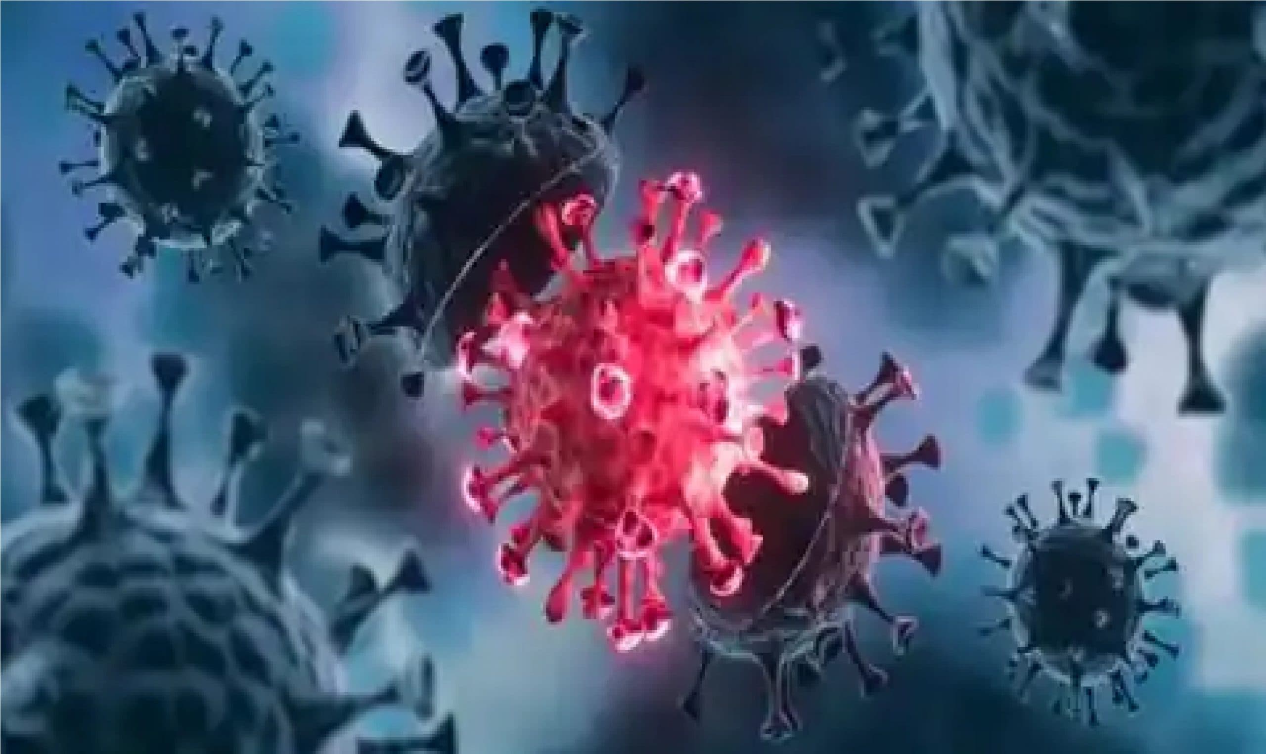 झारखंड में घट रहा है कोरोना का संक्रमण, ठीक होनेवालों का ग्राफ बढ़ा, क्या ढलान पर है तीसरी लहर ?