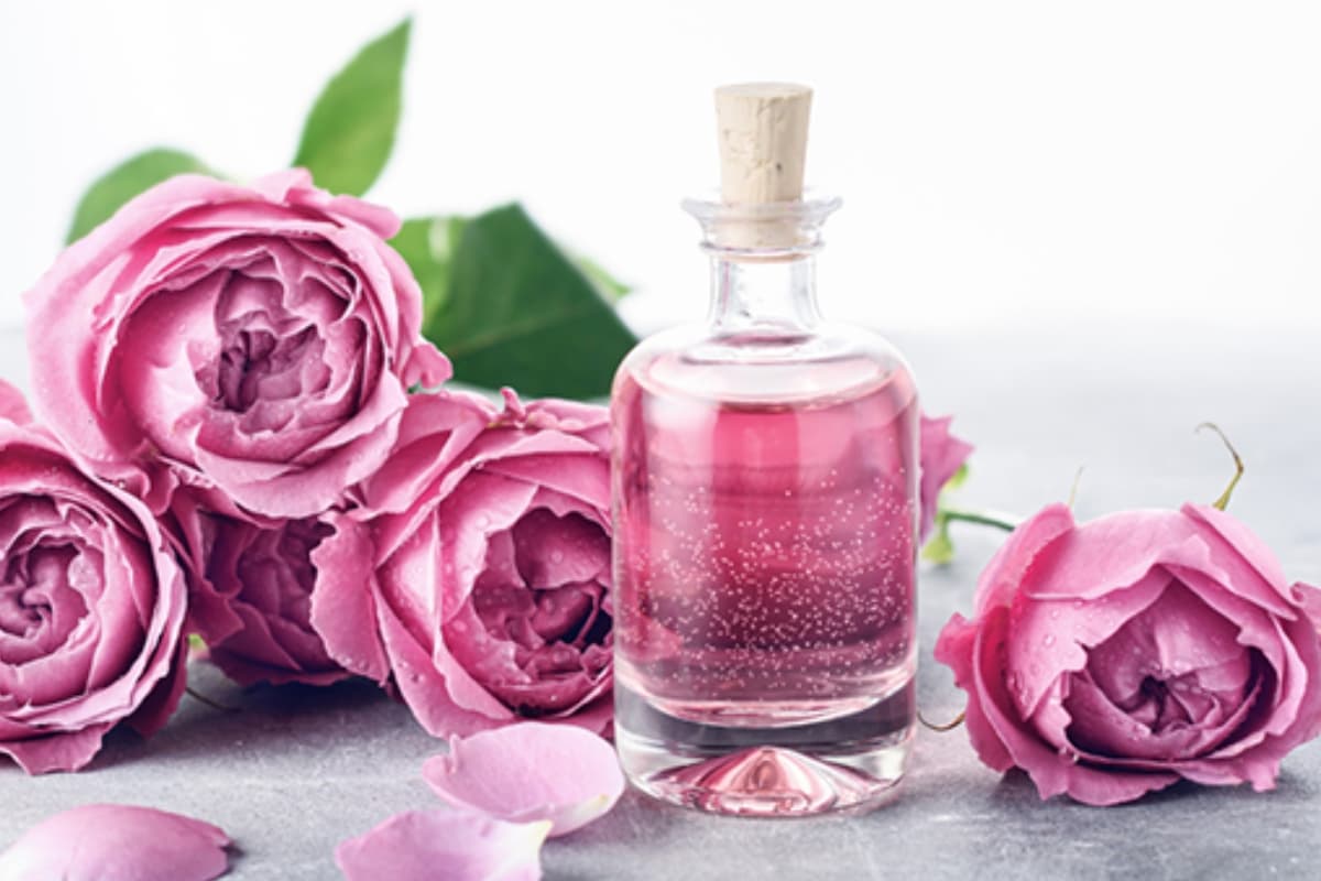 Rose Water From Rose Petals: गुलाब की पत्तियों से घर पर बनाएं शुद्ध गुलाब जल