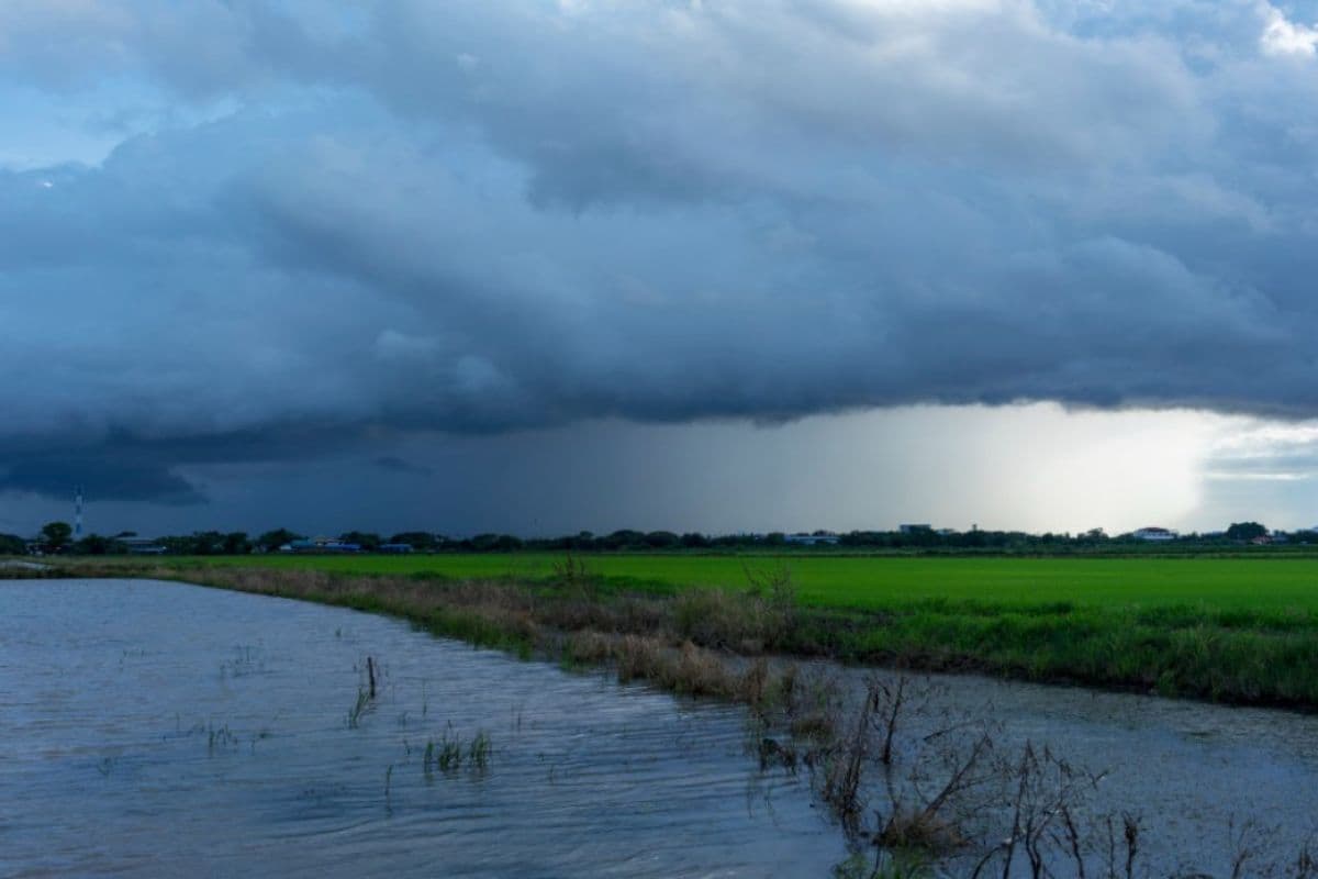 Bihar Rain Alert: рдмрд┐рд╣рд╛рд░ рдХреЗ рдЗрд╕ рдЬрд┐рд▓реЗ рджреЛ рджрд┐рди рд░рд╣реЗрдЧреА рдЧрд░реНрдореА, рдлрд┐рд░ рд╣рд▓реНрдХреА рдмрд╛рд░рд┐рд╢ рдХрд╛ рдЕрдиреБрдорд╛рди, IMD рдиреЗ рдЬрд╛рд░реА рдХрд┐рдпрд╛ рдЕрд▓рд░реНрдЯ