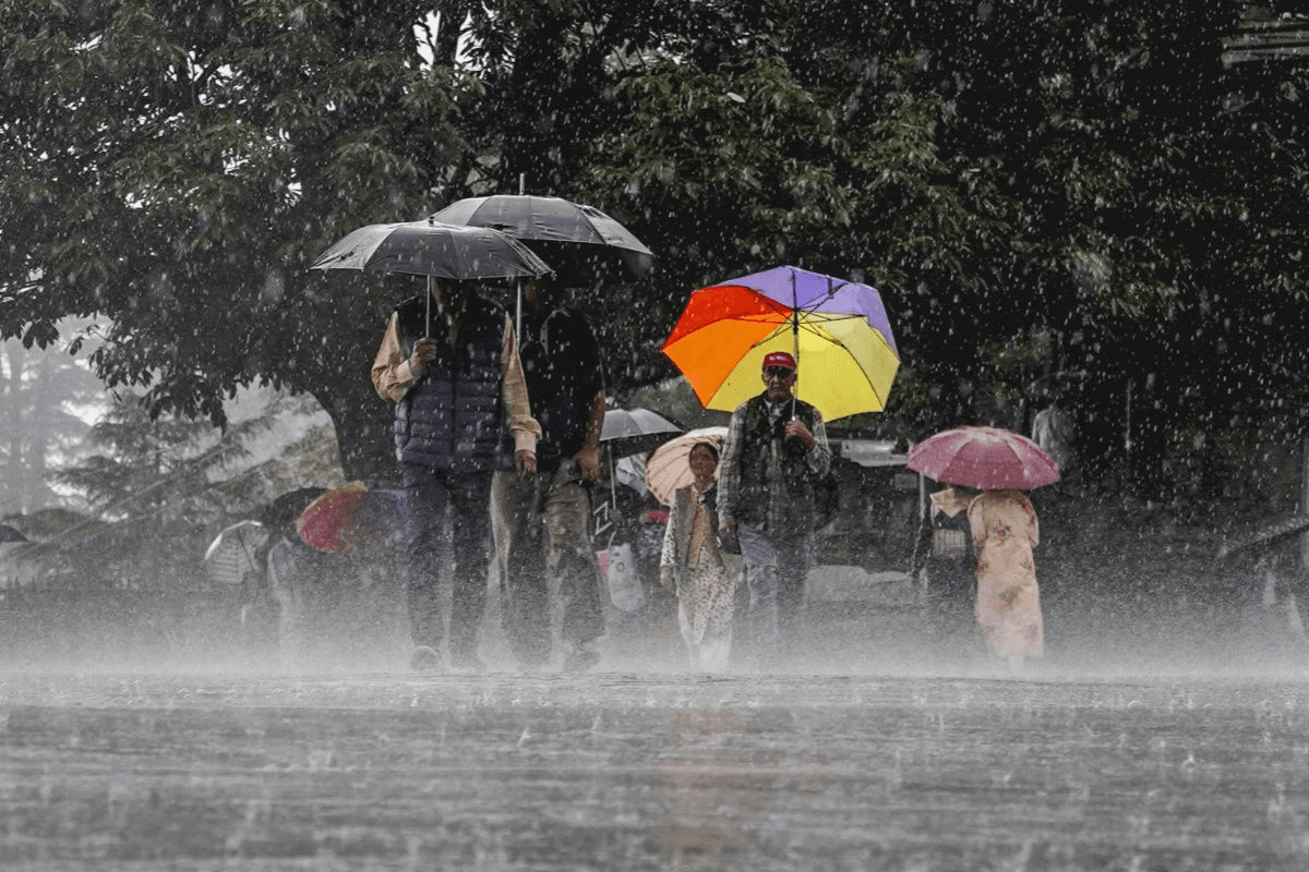 Bihar Monsoon: рднрд╛рдЧрд▓рдкреБрд░-рдЖрд░рд╛ рдореЗрдВ рдЭрдорд╛рдЭрдо рдмрд╛рд░рд┐рд╢, рдмрд┐рд╣рд╛рд░ рдХреЗ 22 рдЬрд┐рд▓реЛрдВ рдореЗрдВ рдЖрдВрдзреА-рддреВрдлрд╛рди рдФрд░ рдмрд┐рдЬрд▓реА рдХрд╛ рдЕрд▓рд░реНрдЯ