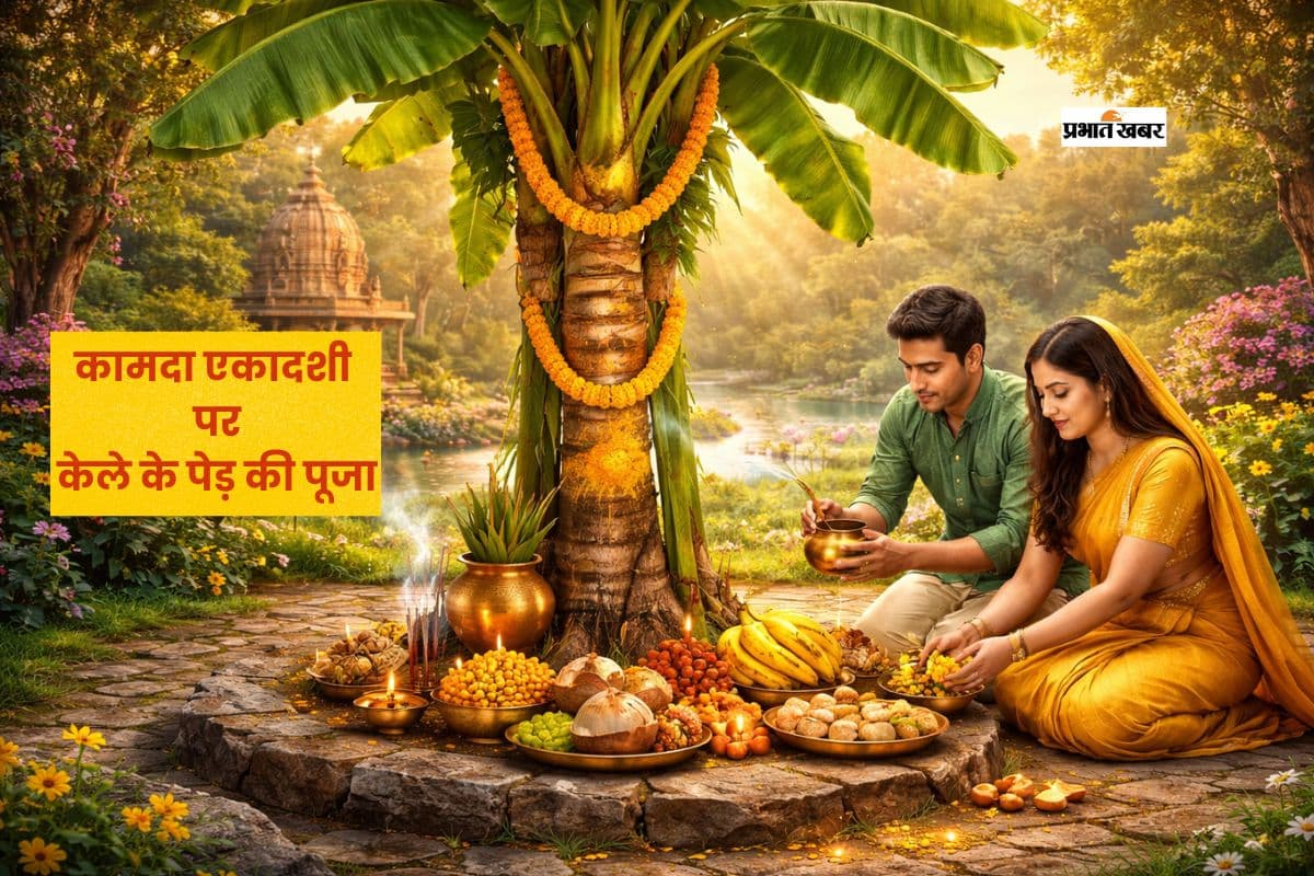 कामदा एकादशी पर केले के पेड़ का है खास महत्व, ग्रह दोष हो सकते हैं शांत