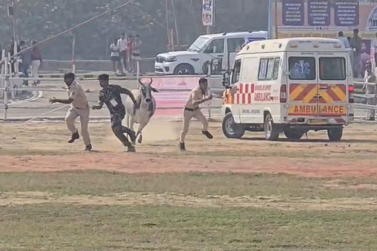 बेगूसराय में सीएम नीतीश की समृद्धि यात्रा से पहले सुरक्षा में चूक, हेलीपैड पर पहुंचा बैल, पुलिसकर्मियों को दौड़ाया