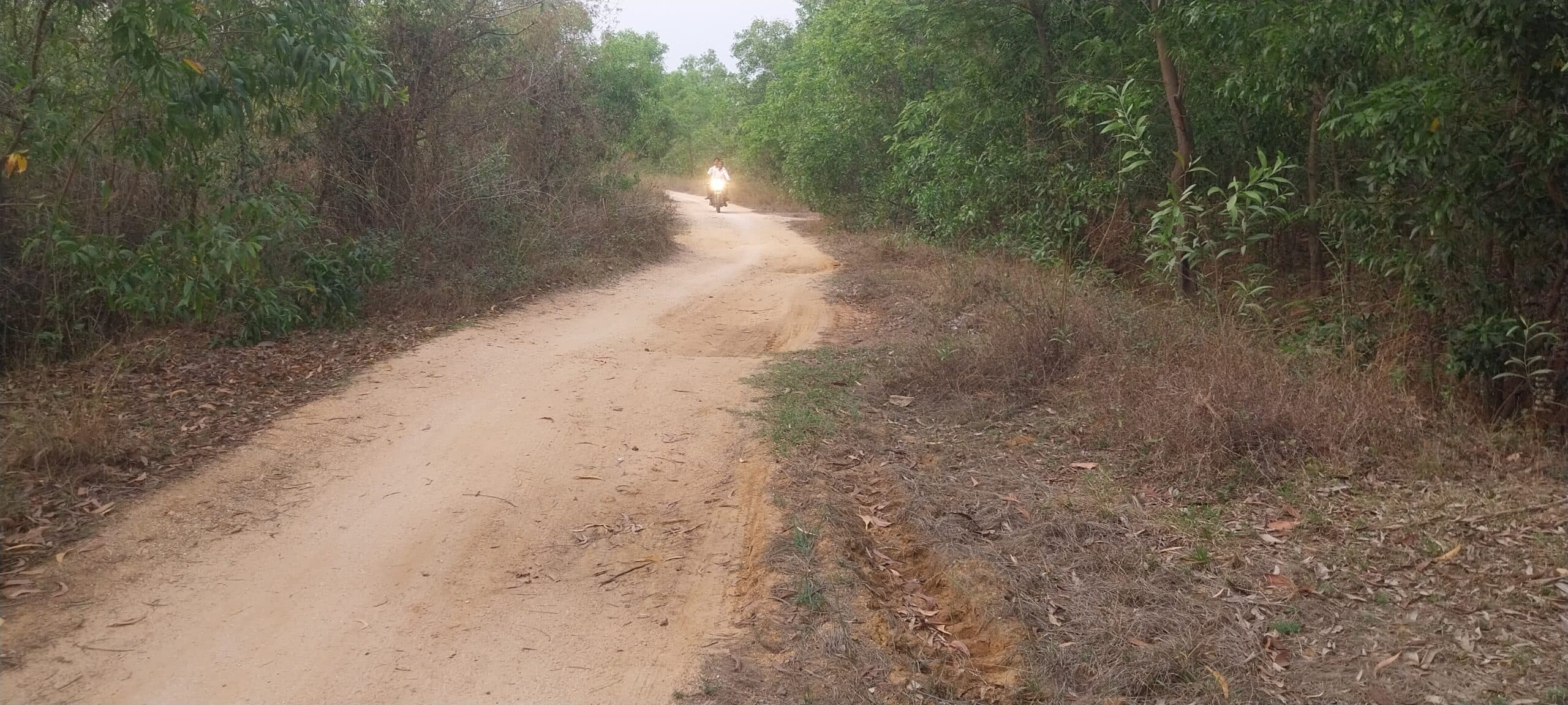 Giridih News :पडरिया-औरवाटांड़ सड़क का नहीं हुआ कालीकरण, परेशानी