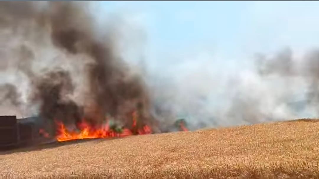लीड में जोड़....आग लगने से 50 एकड़ में लगी गेहूं की फसल जलकर राख