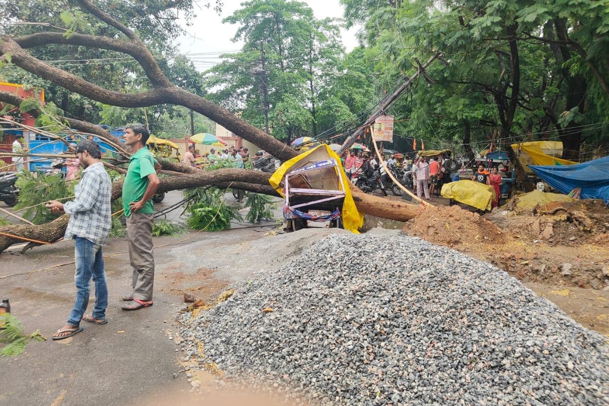 रांची : डोरंडा में बारिश के बीच हाई वोल्टेज तारों पर गिरा पेड़, बिजली आपूर्ति ठप