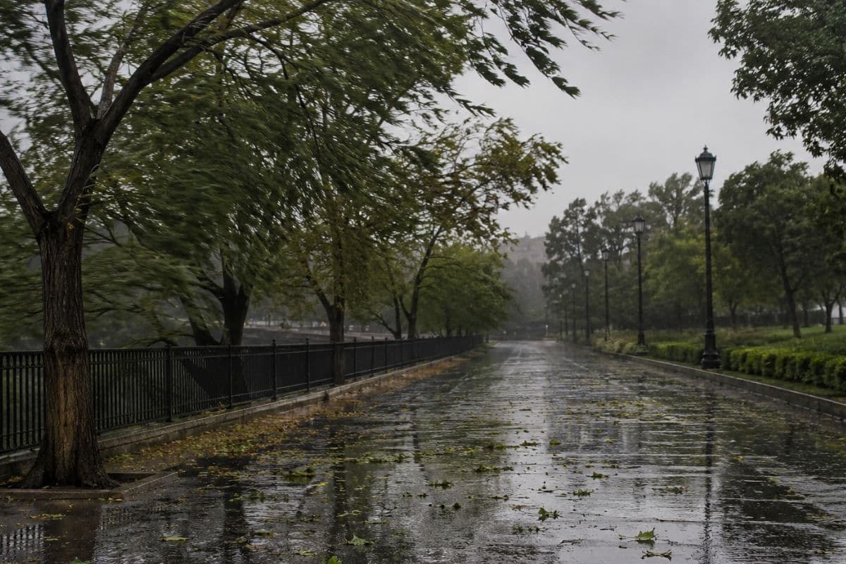 झारखंड में गरजेंगे बादल, बारिश के साथ 50 किमी प्रति घंटे की रफ्तार से तेज हवा चलने की संभावना