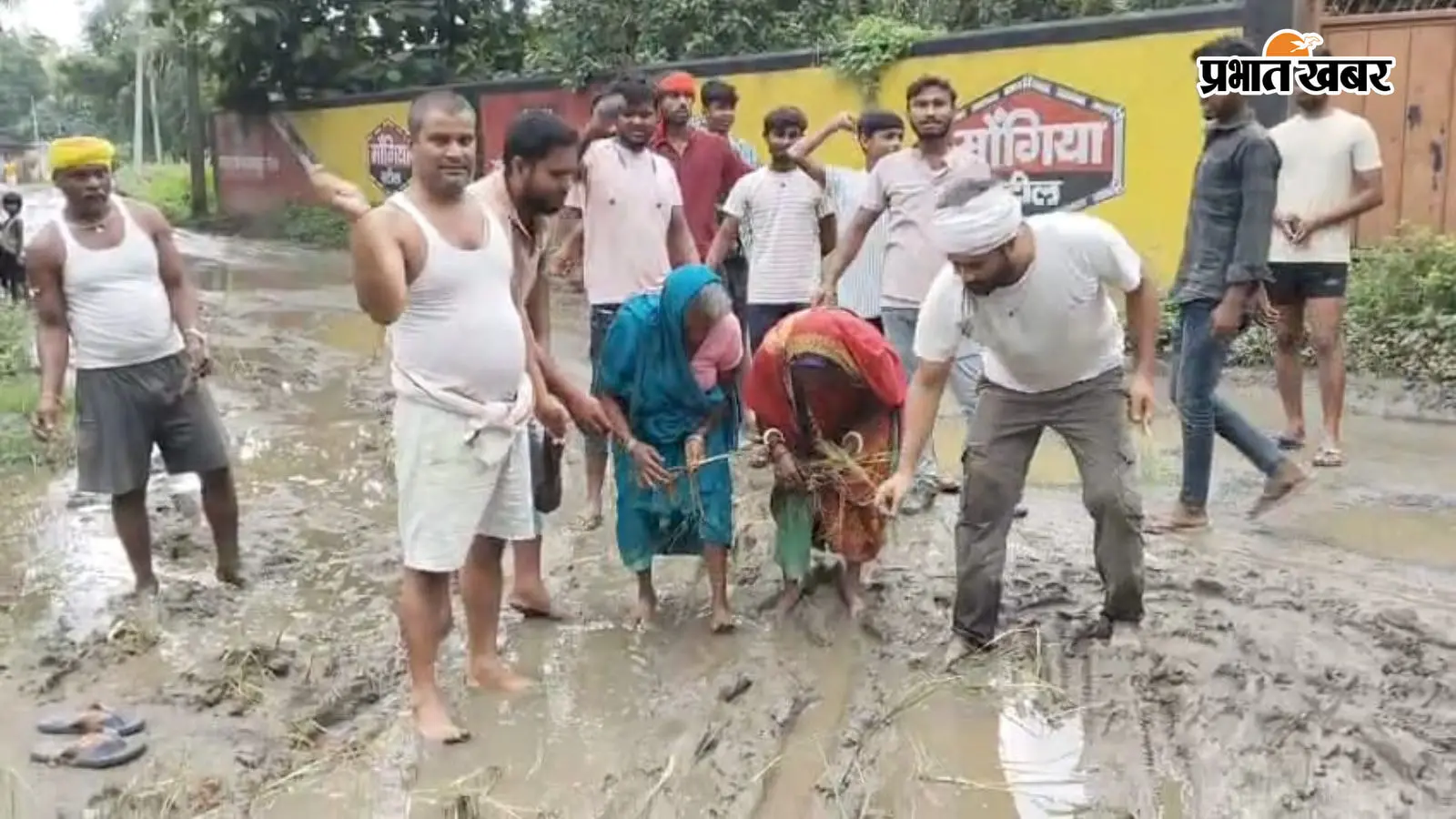 जर्जर सड़क से परेशान ग्रामीणों का अनोखा विरोध, सड़क पर धान रोपकर और खाद डालकर जताया आक्रोश