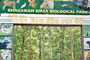 bhagwam birsa munda zoo ranchi