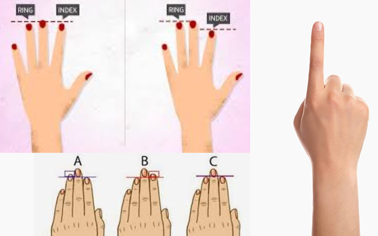 Everyday Sociology Blog: Does Finger Size Reveal Sexual Orientation?