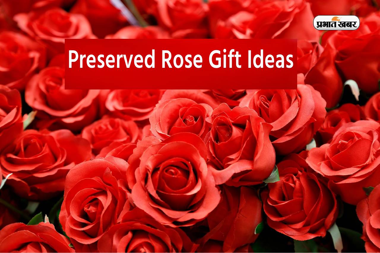 Yamonic Preserved Real Roses in a Box, Rose Box India | Ubuy