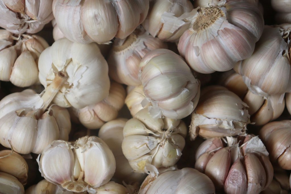 Garlic 5
