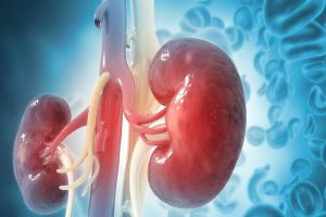 Kidney disease