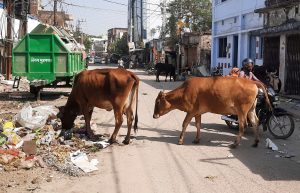 मुजफ्फरपुर नगर निगम स्वच्छ सर्वेक्षण