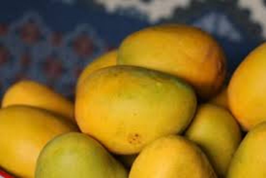 Benefits Of Ripe Mango