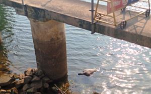 body in khandola reservoir bengalbad giridih