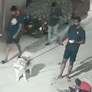 Shocking Viral Video in Hyderabad