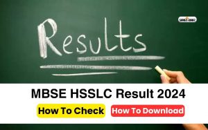 MBSE HSSLC Result 2024