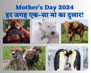 Mother's Day 2024