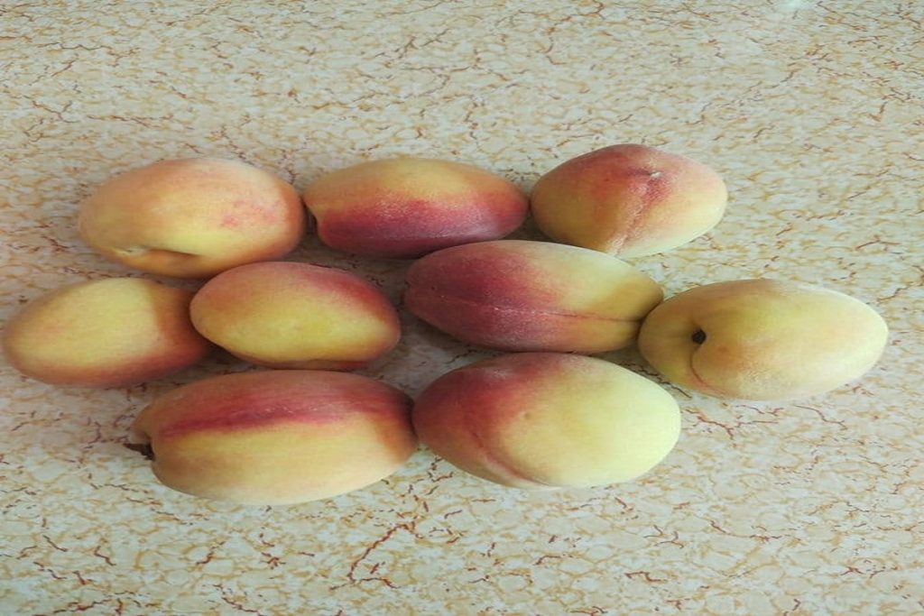 aadu fruits