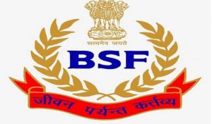 bsf