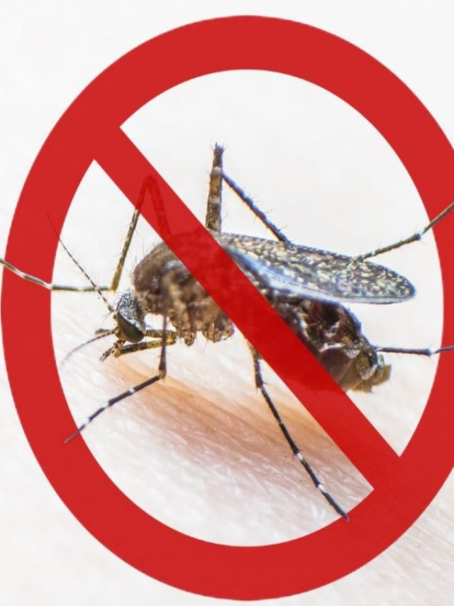 Cropped National Dengue Day 1