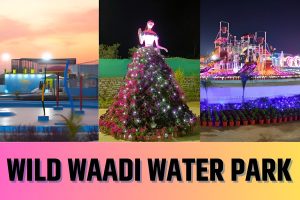 wild waadi water park