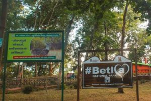 Betla National Park