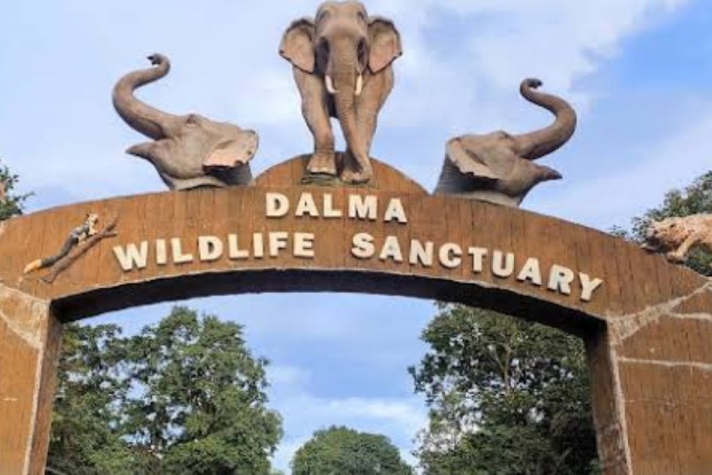 Dalma Wildlife Sanctuary