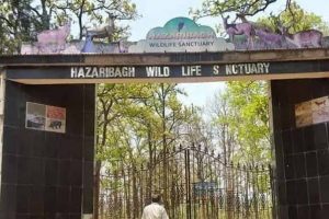 Hazaribagh National Park