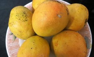 Mangoes Of Bihar