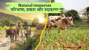 Natural resources परिभाषा, प्रकार और उदाहरण