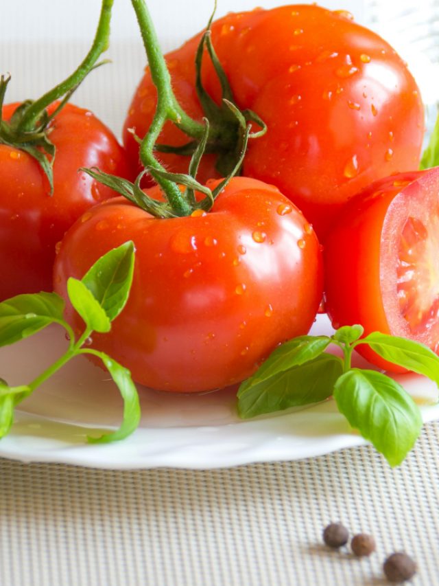 Cropped Tomato 1