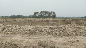 सहरसा जिले में सूखे पड़े हैं खेत.