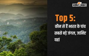 Top 5: Which are the five largest forests of India, know here