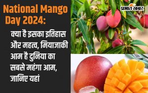 National Mango Day 2024: What is its history and importance, Miyazaki mango is the most expensive mango in the world, know here