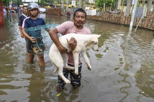 Assam Flood