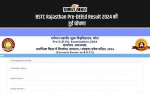 BSTC Rajasthan Pre-DElEd Result 2024 की हुई घोषणा