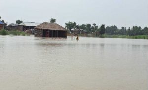 Ganga river water level and flood risk