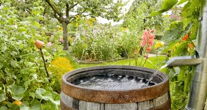 Household Rainwater Uses