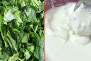 Curd and Greens in Sawan