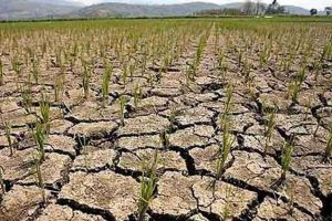 Drought in Nalanda