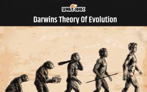 Darwin's Theory of Evolution