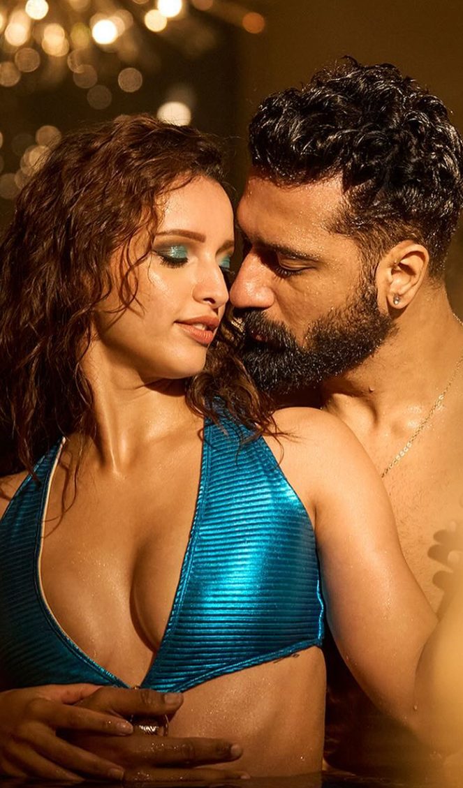 Vicky Kaushal And Tripti Dimri