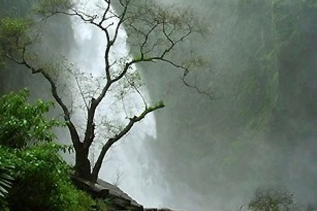Kunchikal Falls 2