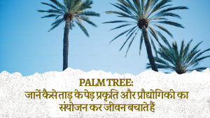 Palm tree: Learn how palm trees save lives by combining nature and technology.