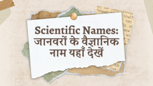 Scientific Names: See the scientific names of animals here