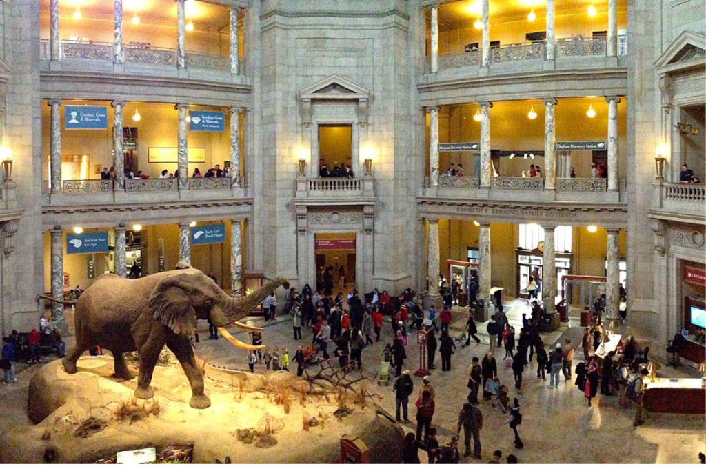 National Museum of Natural History